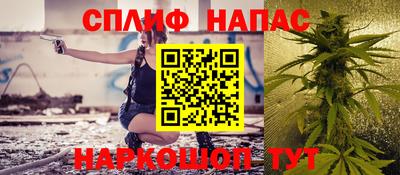 дмт Гай