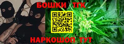 дмт Гай