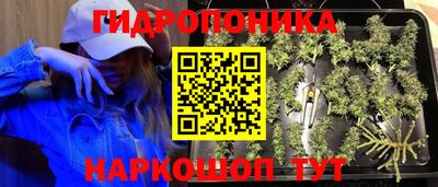 ГАЛЛЮЦИНОГЕННЫЕ ГРИБЫ Гусь-Хрустальный