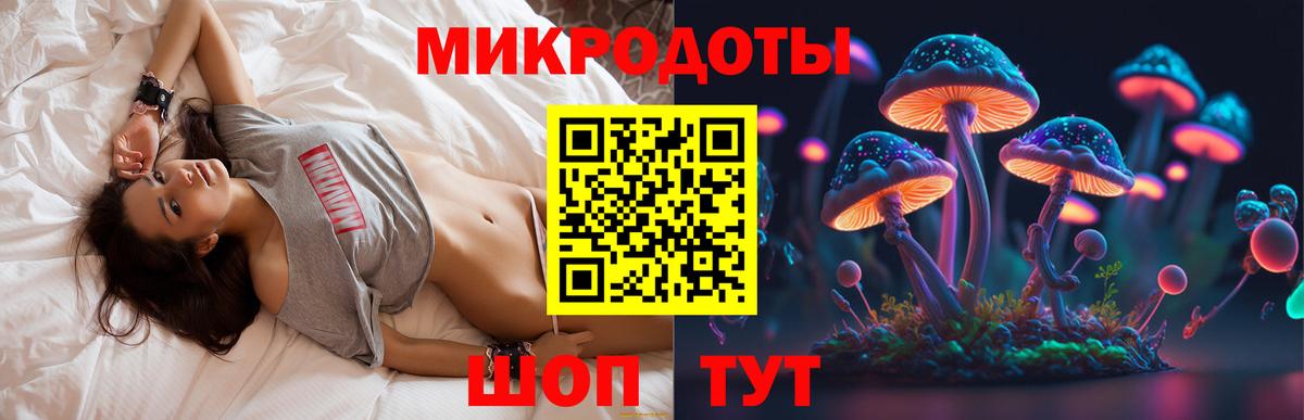 Псилоцибиновые грибы Psilocybe  Вход с VPN  Кизляр 